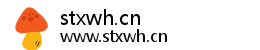 stxwh.cn